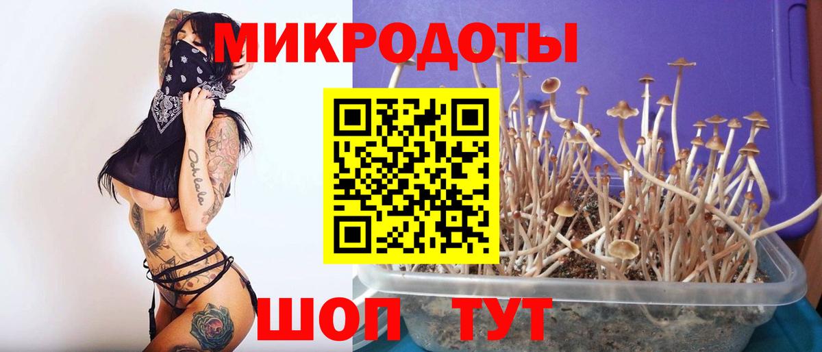 Галлюциногенные грибы мухоморы Ростов Великий